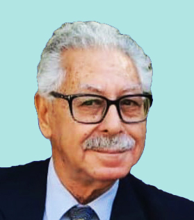 فكري حسن